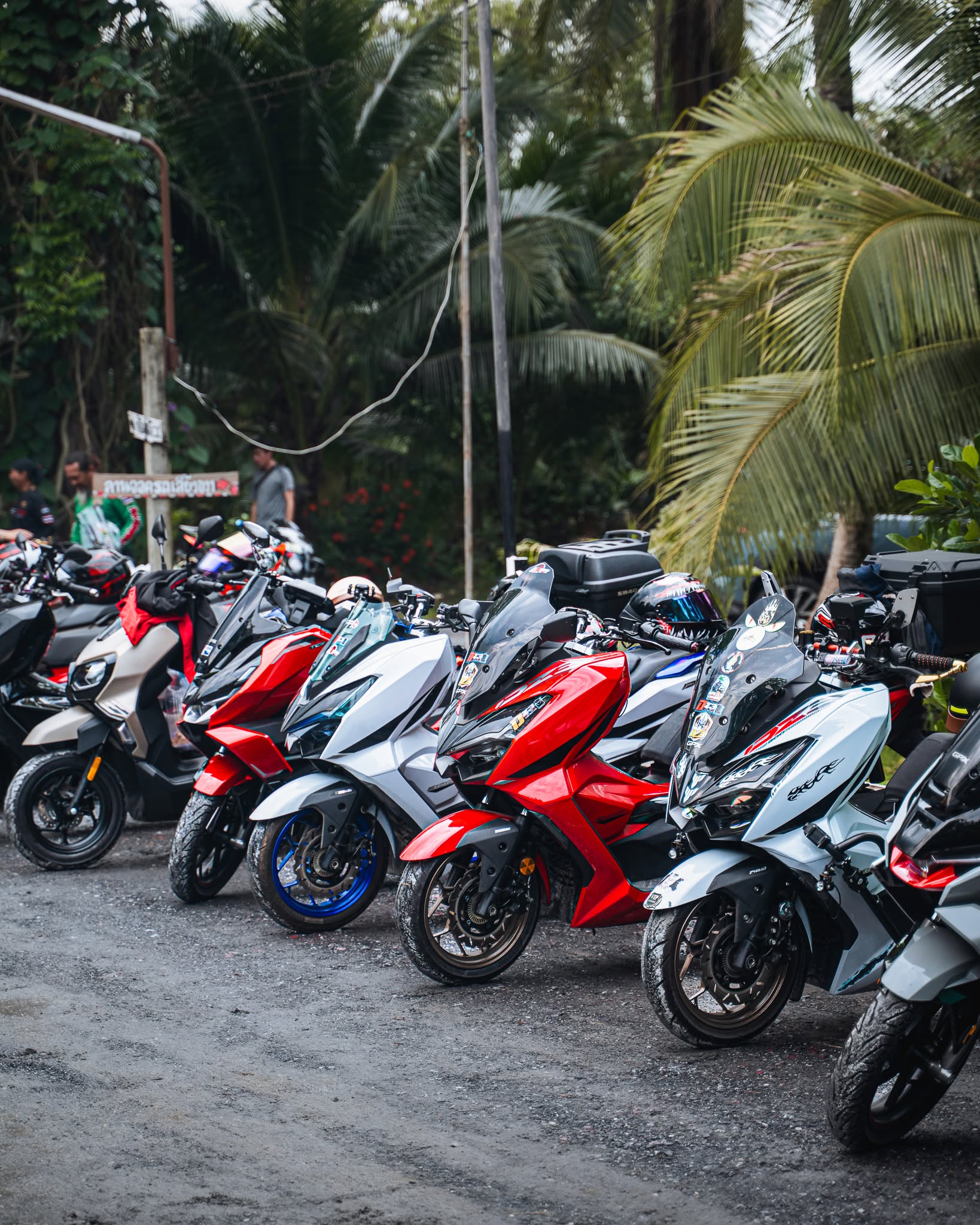 gpx-green-revival-journey-027