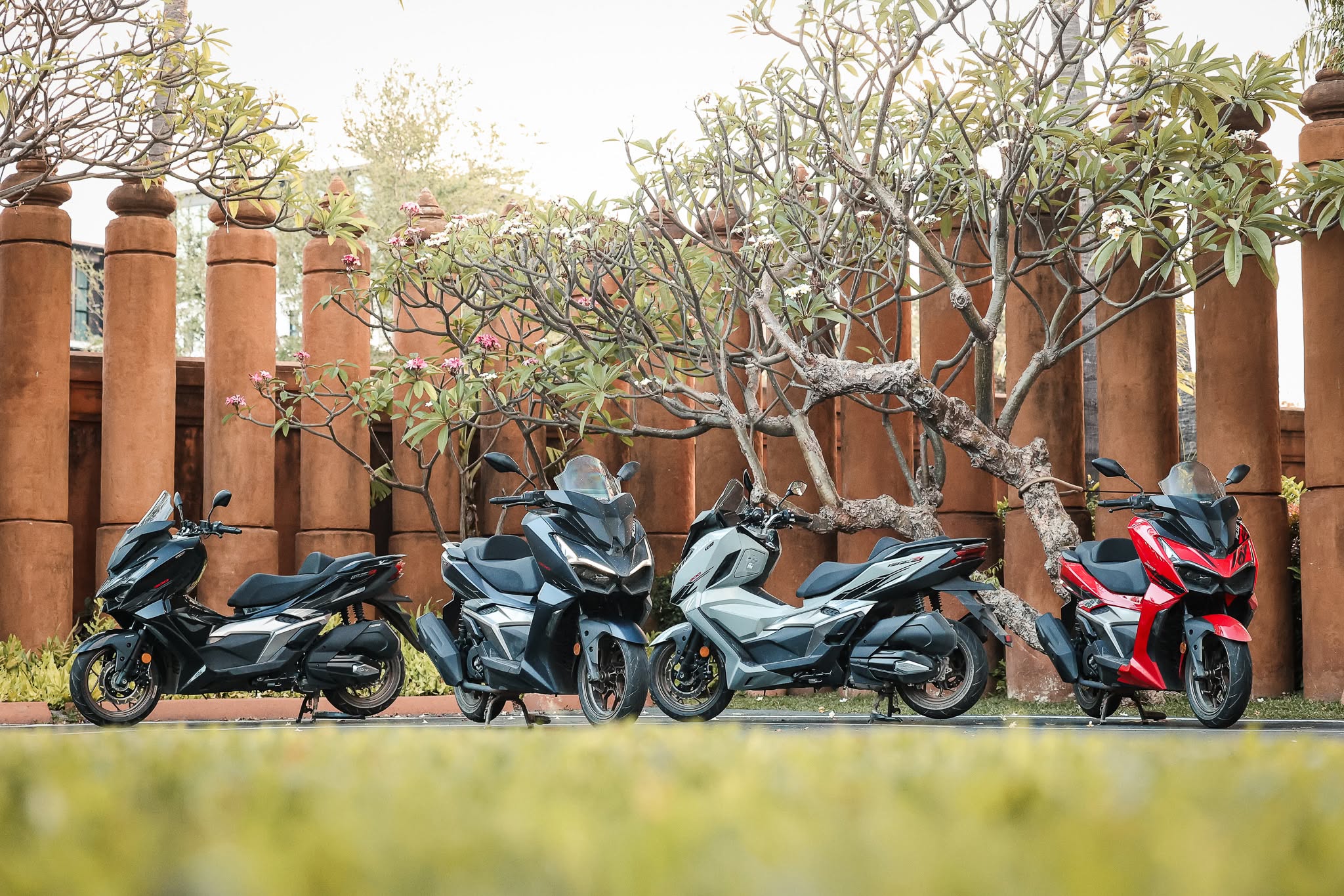 test-ride-trip-gpx-dz3-plus-068